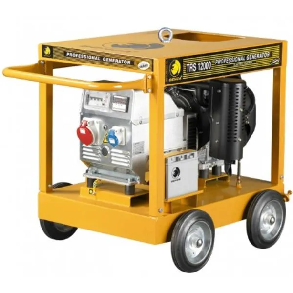 Grupos electrógenos gasolina 10 kVAs