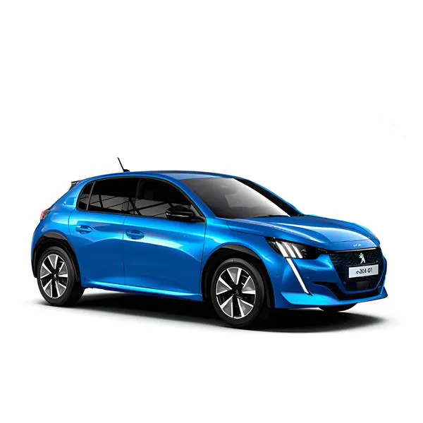 Turismo eléctrico 5 plazas
